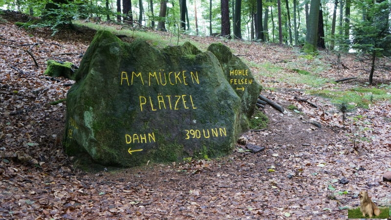 Ritterstein Nr. 203-3b Am Mücken - Plätzel 390 ü NN.JPG - Ritterstein Nr.203 Am Mücken Plätzel 390 ÜNN